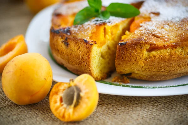 Sponge cake with apricot — Stock Photo, Image