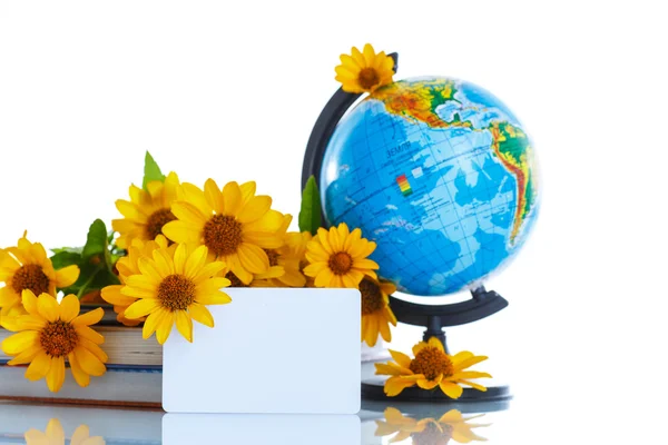 Globo con libri e fiori — Foto Stock