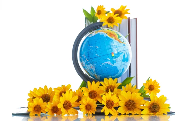 Kitap ve çiçekler ile dünya — Stok fotoğraf
