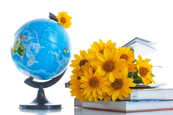 Globus z książki i kwiaty — Zdjęcie stockowe