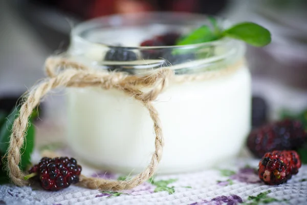 Yogurt dengan murbei — Stok Foto