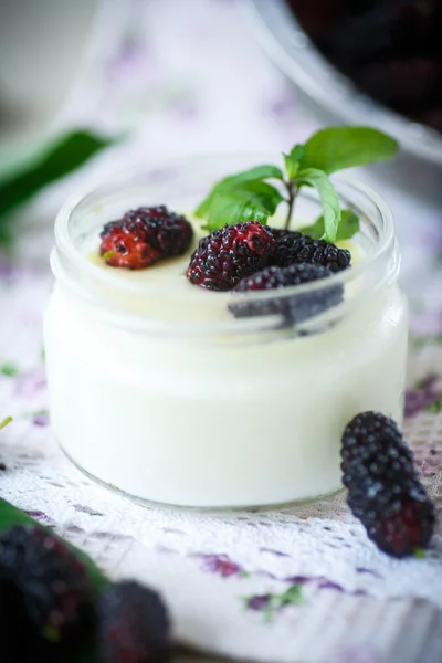 Yogurt with mulberry — Stock Photo, Image