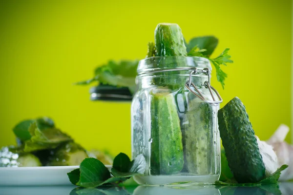 Salted cucumber — Stock Photo, Image