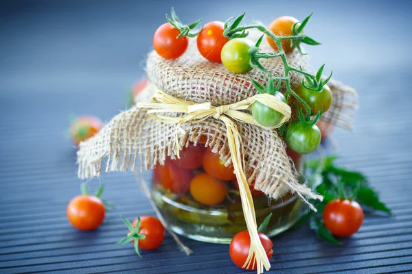 Tomaten mariniert in Gläsern — Stockfoto