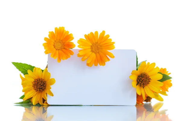 Ramo de flores con margaritas de verano —  Fotos de Stock