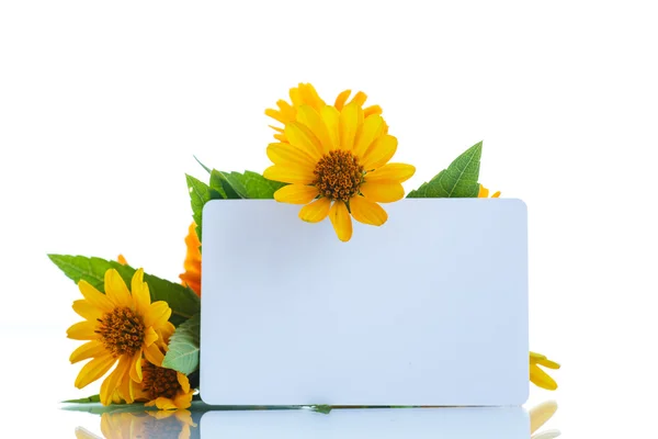 Boeket van bloemen met zomer madeliefjes Rechtenvrije Stockfoto's