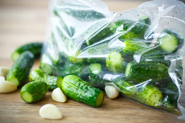 Pepinos en escabeche — Foto de Stock