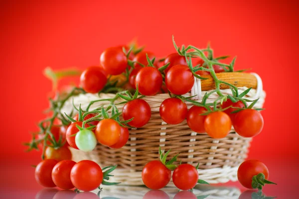 Tomates cereja — Fotografia de Stock