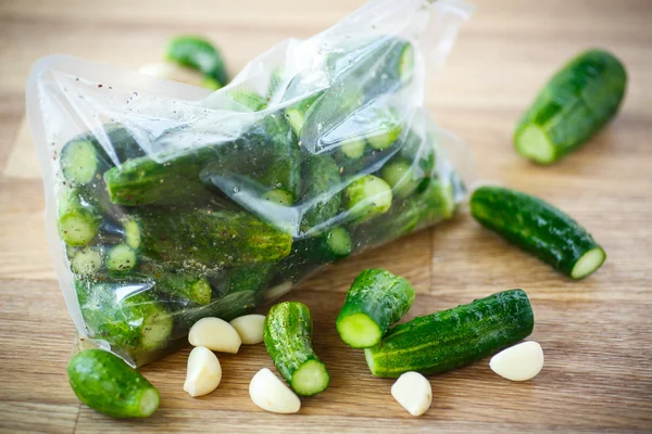 Pickled cucumbers — Stock Image Pickled cucumbers Stock Image