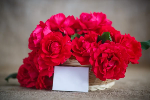 Schöner Strauß roter Rosen — Stockfoto