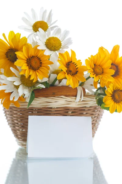 노란과 백색 꽃의 꽃다발 — 스톡 사진