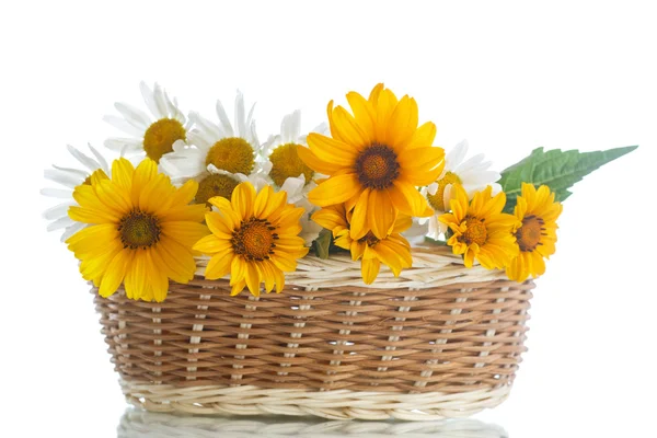 Bouquet of yellow and white daisies — Stock Photo, Image