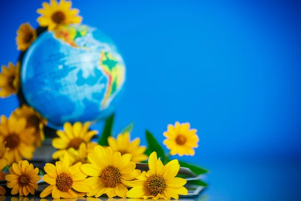 Globo com livros e flores — Fotografia de Stock