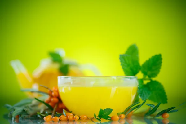 Buckthorn tea — Stock Photo, Image