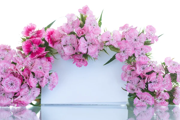 Bright bouquet of carnations — Stock Photo, Image