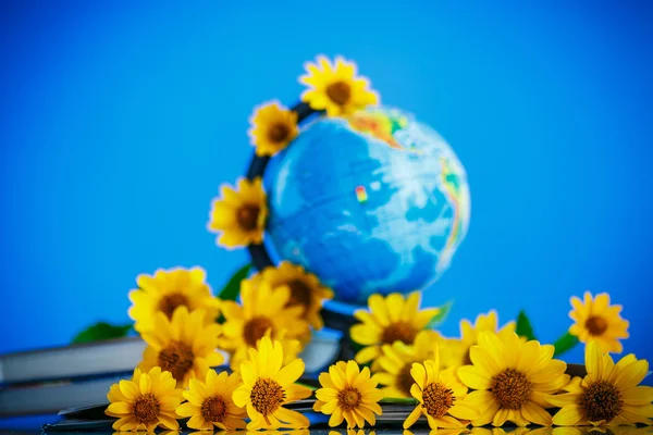 Globo con libros y flores — Foto de Stock