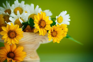 Sarı ve beyaz papatya buketi