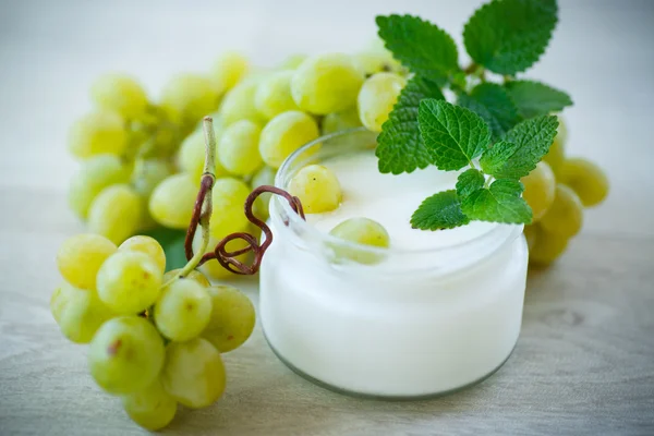 Casa iogurte doce com uvas frescas — Fotografia de Stock