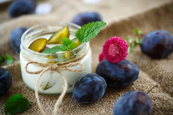 Söt yoghurt med färska plommon — Stockfoto