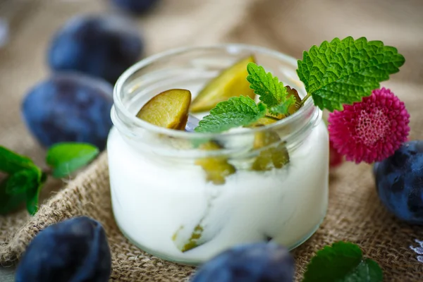 Sweet milk yogurt with fresh plums — Stock Photo, Image