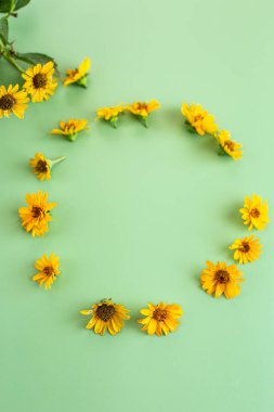 Dekoratif sarı çiçek bileşimi açık yeşil üzerinde izole edilmiş..