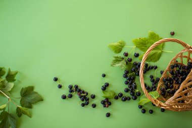 Yeşil arka planda kuşüzümü ve böğürtlen.