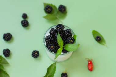 Böğürtlenli yoğurt tatlısı ve taze nane..