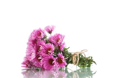 bouquet of pink chrysanthemums