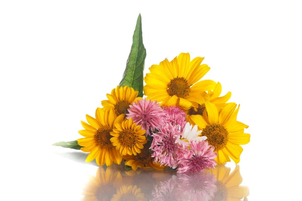 Yellow daisy flowers — Stock Photo, Image