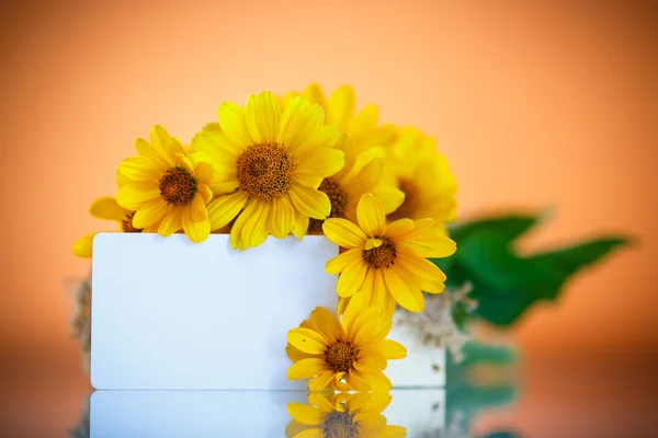 Ramo de flores de margarita amarilla —  Fotos de Stock