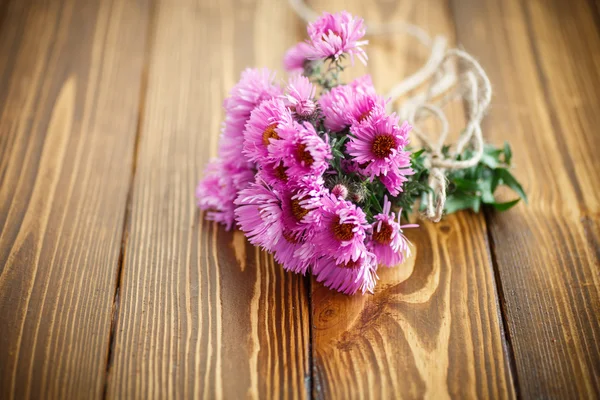 Bouquet di crisantemi rosa — Foto Stock