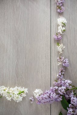 Açık ahşap zemin üzerinde beyaz ve mor leylak çerçevesi.
