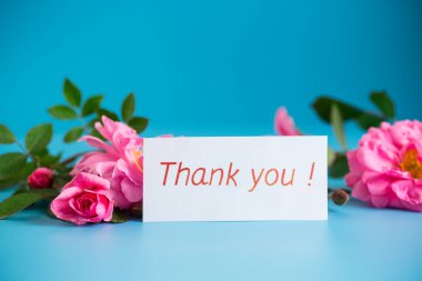 Yumuşak bir pastel yüzeyde gül çiçekleri, minnettarlıkla..