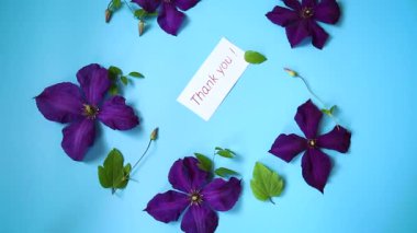 mavi arkaplan üzerindeki metin için clematis dalı ve boşluk.