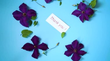 mavi arkaplanda mor klematis dalı.