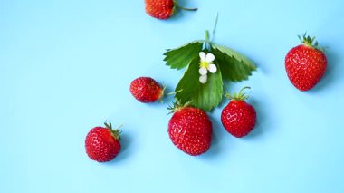 Yukarıdan mavi arka planda olgun kırmızı çilekler..