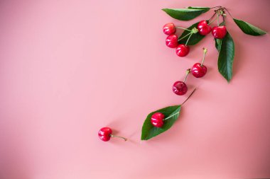 Pembe arkaplanda kirazlar ve yan tarafında boşluk.