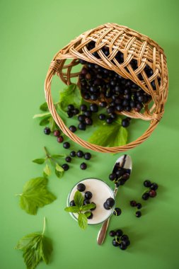 Frenk üzümlü ev yapımı yoğurt, yeşil arka planda izole edilmiş..