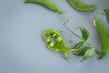 Açık kabuklu yeşil bezelye dalı..
