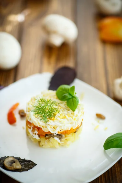 キノコと野菜の層状サラダ — ストック写真