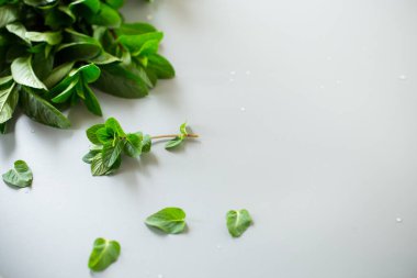 Gri desenli arka planda bir sürü taze aromatik nane..