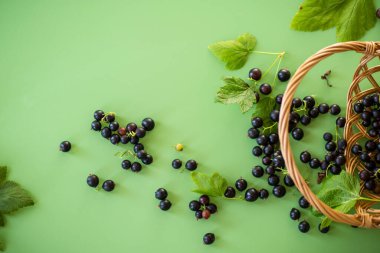 Yeşil arka planda yaz taze kuşüzümü.