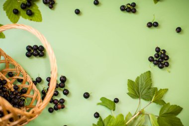 Sepette doğal frenk üzümü ve yeşil arka planda dağınık..
