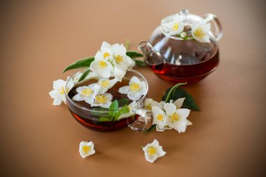 Kahverengi arka planda yasemin çiçekli demlenmiş yeşil çay..