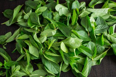 Siyah desenli arka planda bir sürü taze aromatik nane..