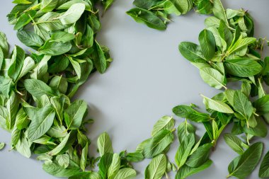 Soğuk tonlu arka planda yukarıdan bir demet nane..