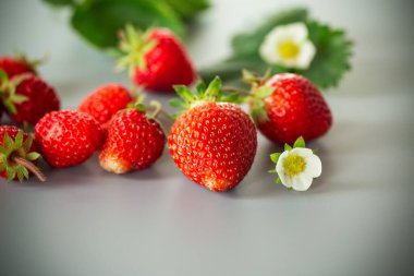 Gri arka planda sulu çilekler..