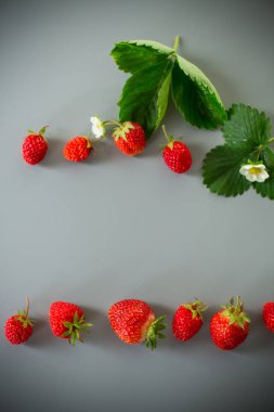 Minimalist bir kompozisyonda iştah açıcı kırmızı çilekler..