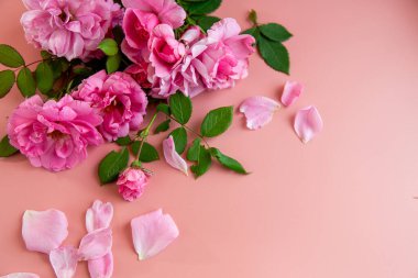 Selamlama ve dekorasyon için yumuşak pembe çiçek arkaplanı.