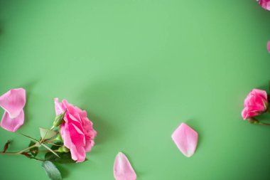 Yeşillik arkaplanda kopyalanmış güller.